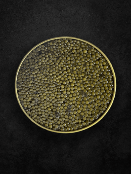 Caviar Asetra
